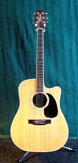 Takamine "FP-360 SC"